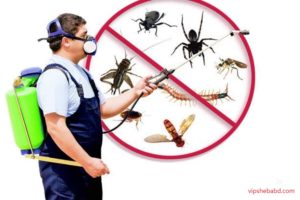 Pest control in Dhaka City
